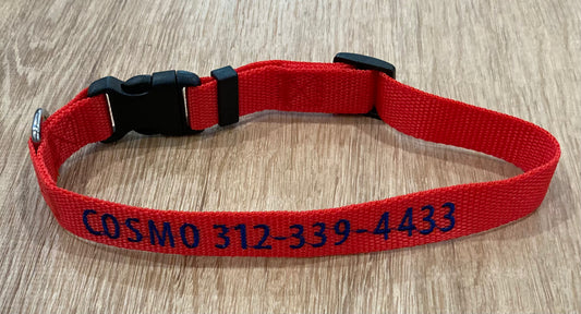 Personalized Dog Collar